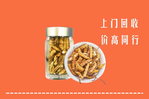 收购行情：眉山回收冬虫夏草